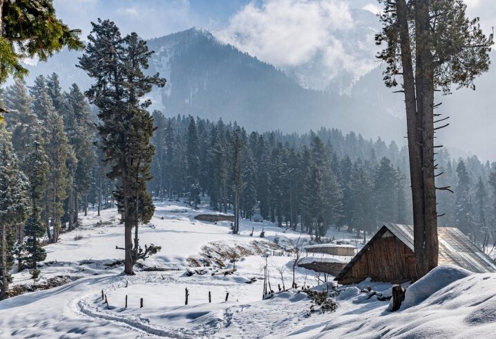 kashmir snow